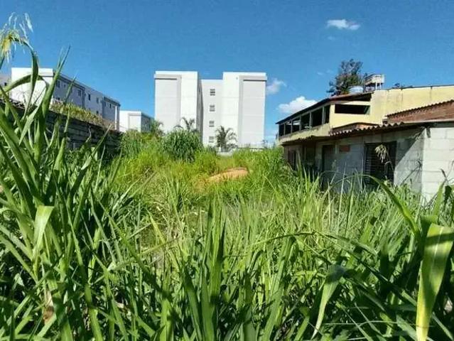 Terreno / Lote para Venda em Belo Horizonte/MG Santa Terezinha