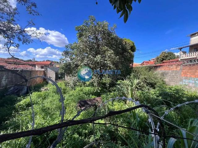 Terreno / Lote para Venda em Belo Horizonte/MG Sinimbu