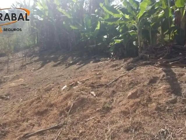 Terreno / Lote para Venda em Belo Horizonte/MG Tiradentes