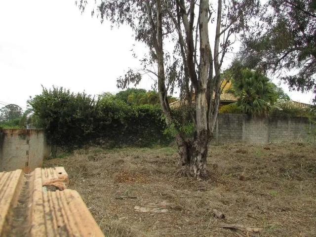 Terreno / Lote para Venda em Belo Horizonte/MG Trevo