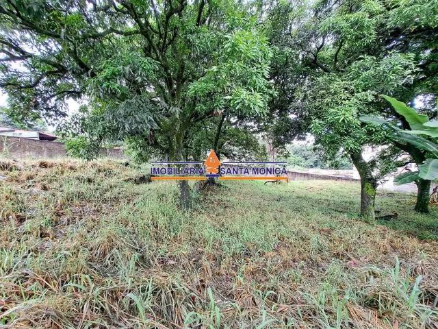 Terreno / Lote para Venda em Belo Horizonte/MG Trevo