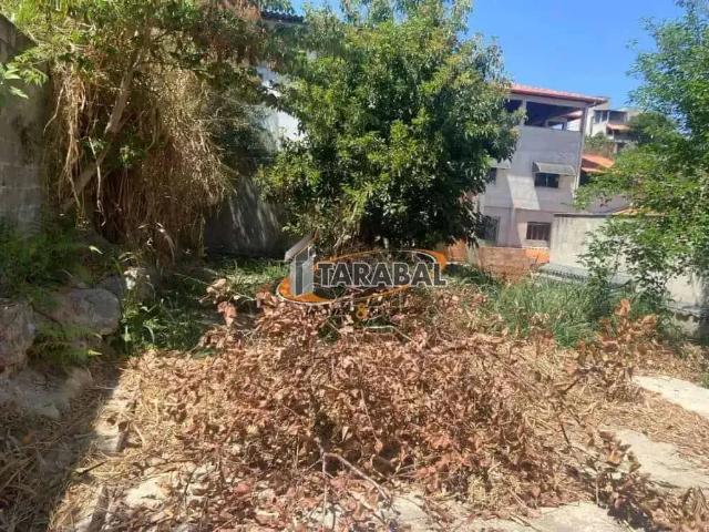 Terreno / Lote para Venda em Belo Horizonte/MG União 1 Quartos