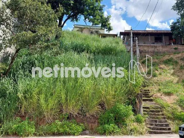 Terreno / Lote para Venda em Belo Horizonte/MG União
