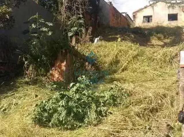 Terreno / Lote para Venda em Belo Horizonte/MG União