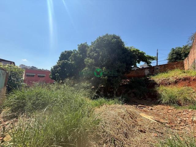 Terreno / Lote para Venda em Belo Horizonte/MG Universitário