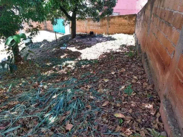 Terreno / Lote para Venda em Belo Horizonte/MG Universitário