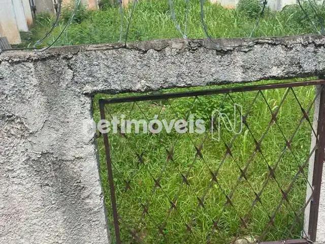 Terreno / Lote para Venda em Belo Horizonte/MG Venda Nova