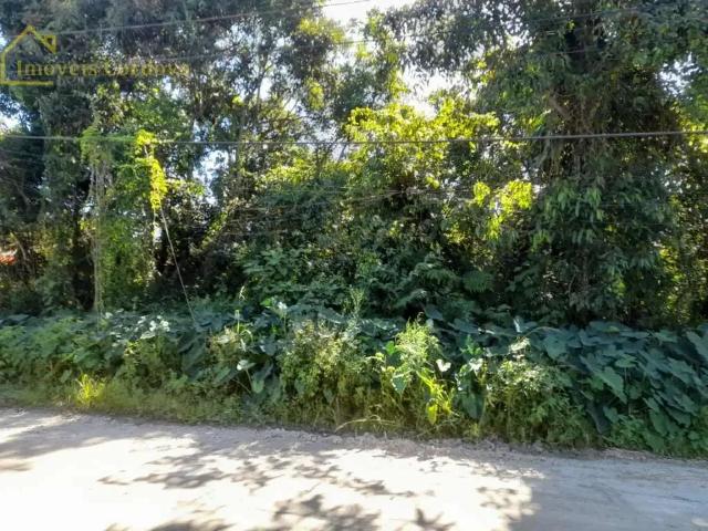 Terreno / Lote para Venda em Bertioga/SP Maitinga