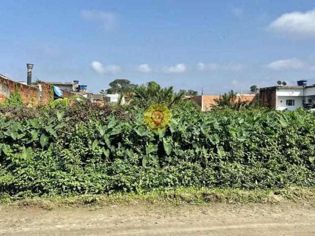 Terreno / Lote para Venda em Bertioga/SP Boraceia