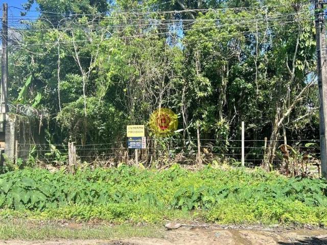 Terreno / Lote para Venda em Bertioga/SP Boraceia