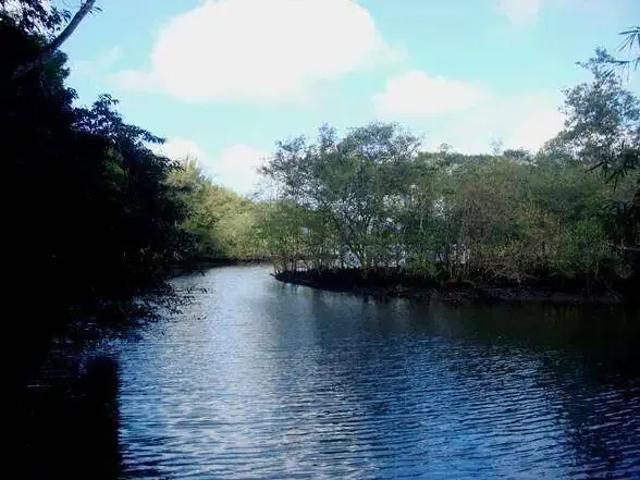 Terreno / Lote para Venda em Bertioga/SP Guaratuba