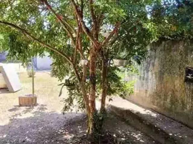 Terreno / Lote para Venda em Bertioga/SP São Lourenço