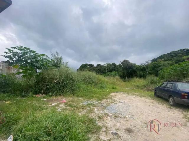Terreno / Lote para Venda em Bertioga/SP Vila Tamoios
