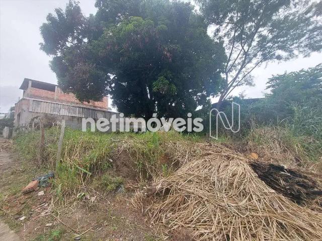 Terreno / Lote para Venda em Betim/MG Amazonas