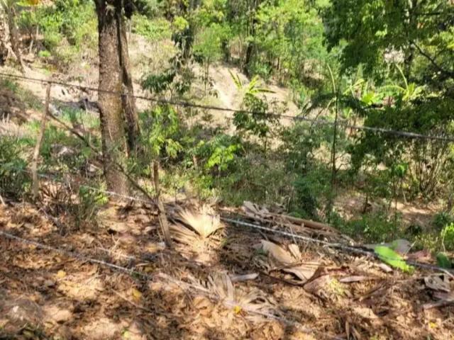 Terreno / Lote para Venda em Betim/MG Bom Repouso 1 Quartos