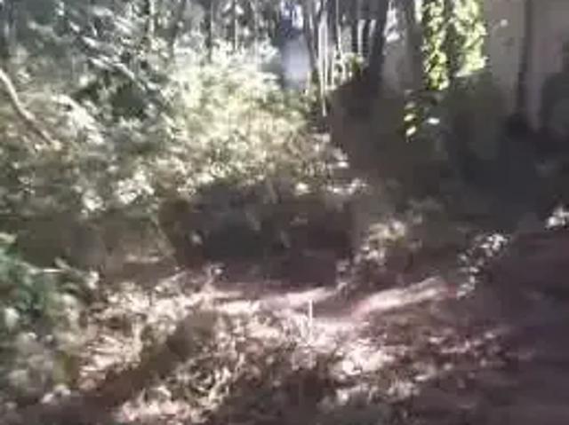 Terreno / Lote para Venda em Betim/MG Califórnia
