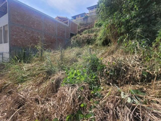 Terreno / Lote para Venda em Betim/MG Jardim Casa Branca