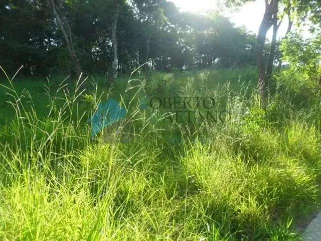 Terreno / Lote para Venda em Betim/MG Jardim Nazareno