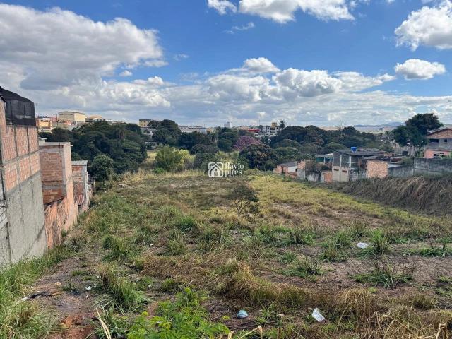 Terreno / Lote para Venda em Betim/MG Paulo Camilo