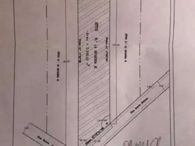 Terreno / Lote para Venda em Betim/MG Paulo Camilo 1 Quartos