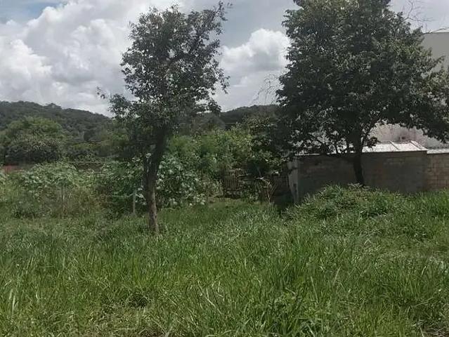Terreno / Lote para Venda em Betim/MG Residencial Lagoa