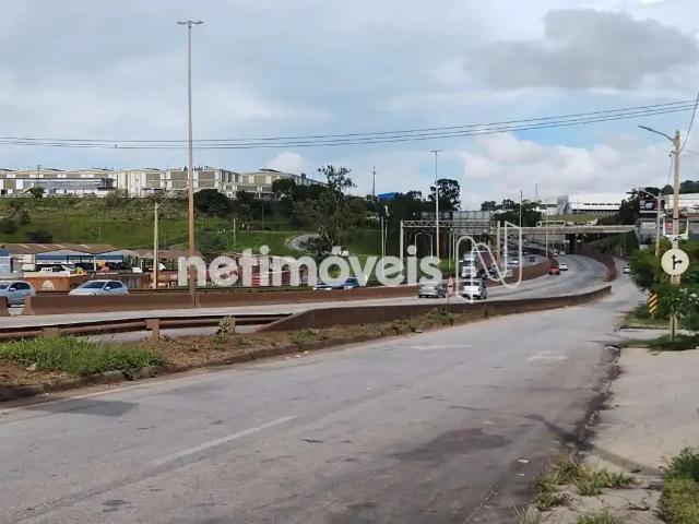 Terreno / Lote para Venda em Betim/MG Santa Cruz