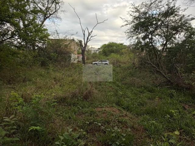 Terreno / Lote para Venda em Betim/MG Teixeirinha