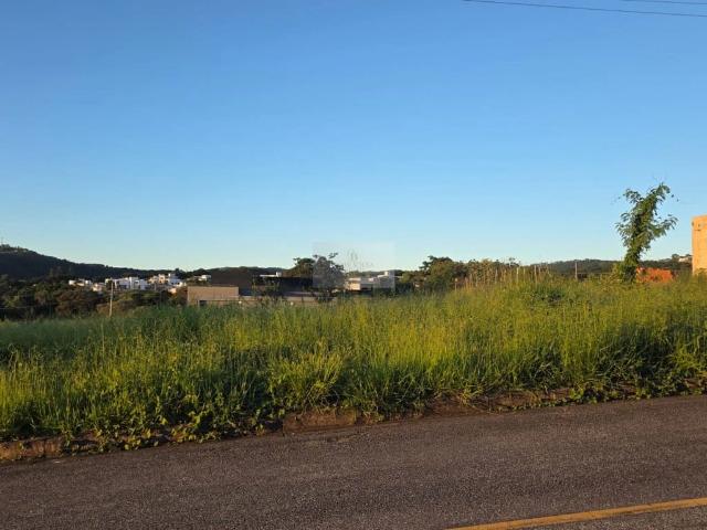 Terreno / Lote para Venda em Betim/MG Teixeirinha