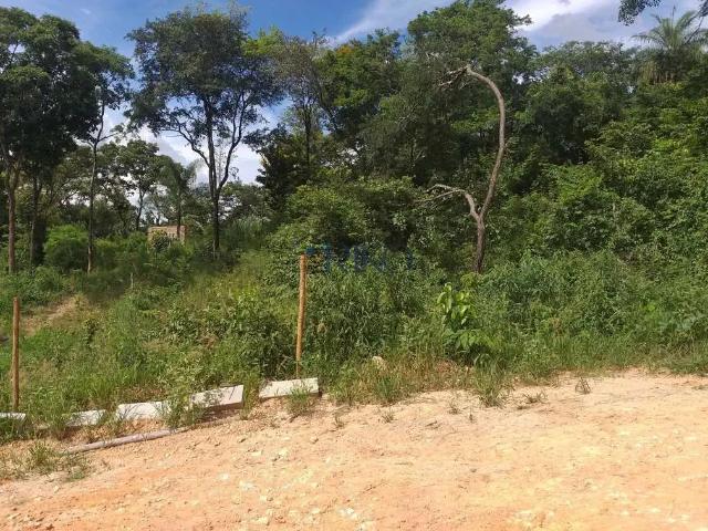 Terreno / Lote para Venda em Betim/MG Várzea das Flores