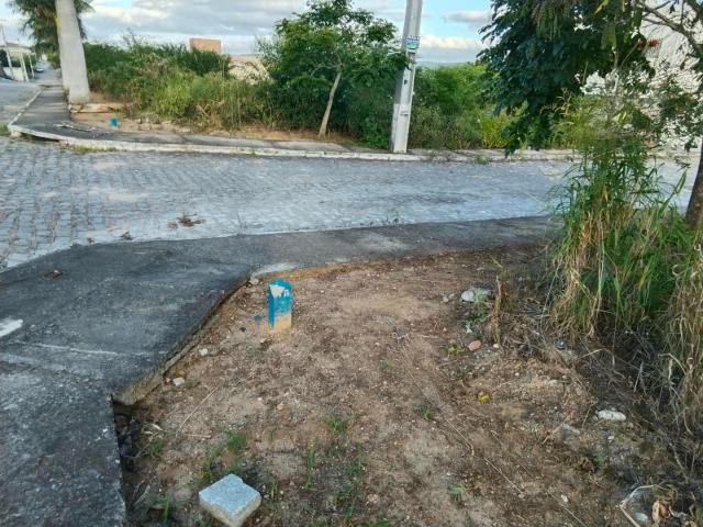 Terreno / Lote para Venda em Bezerros/PE Mororó