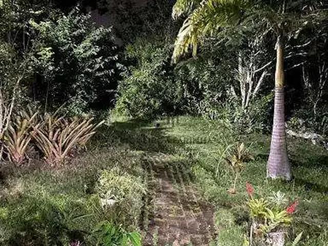 Terreno / Lote para Venda em Bezerros/PE Centro 1 Quartos