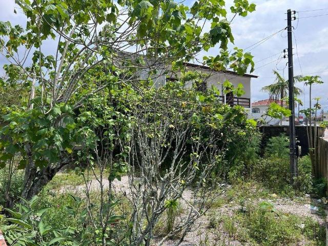 Terreno / Lote para Venda em Biguaçu/SC Centro