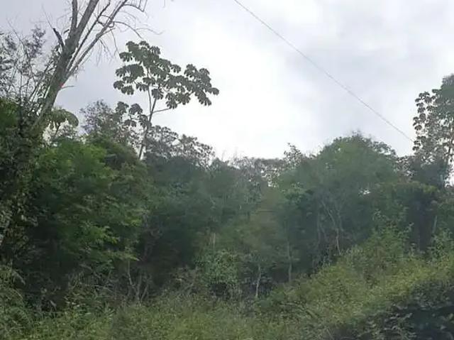 Terreno / Lote para Venda em Biguaçu/SC Área Rural de Biguaçu