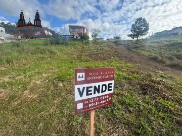 Terreno / Lote para Venda em Biguaçu/SC Área Rural de Biguaçu