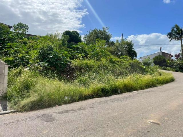 Terreno / Lote para Venda em Biguaçu/SC Bom Viver
