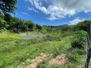 Terreno / Lote para Venda em Biguaçu/SC Fundos