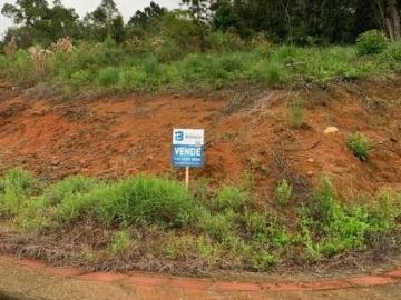 Terreno / Lote para Venda em Biguaçu/SC Fundos