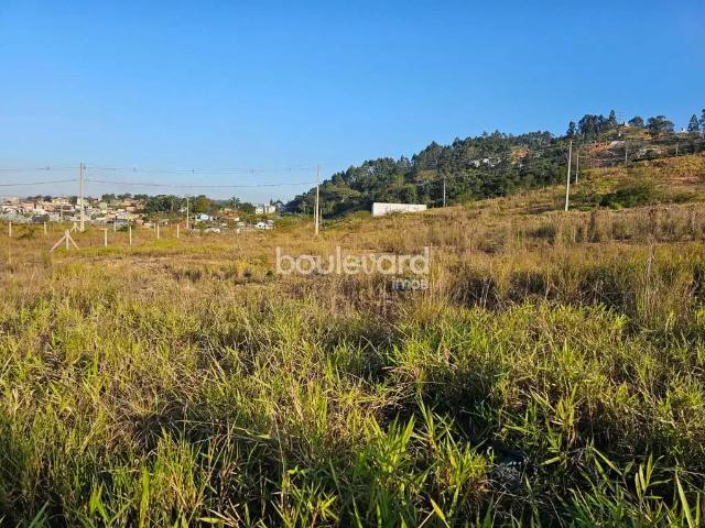 Terreno / Lote para Venda em Biguaçu/SC Jardim Janaina