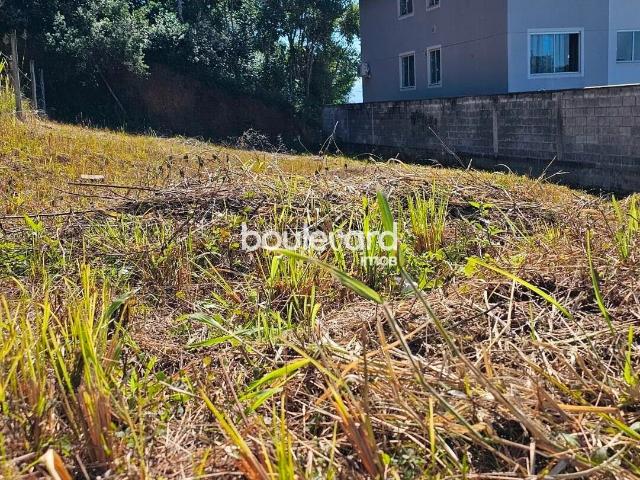 Terreno / Lote para Venda em Biguaçu/SC Jardim Janaina