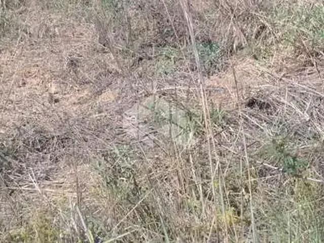 Terreno / Lote para Venda em Biguaçu/SC Jardim Janaina