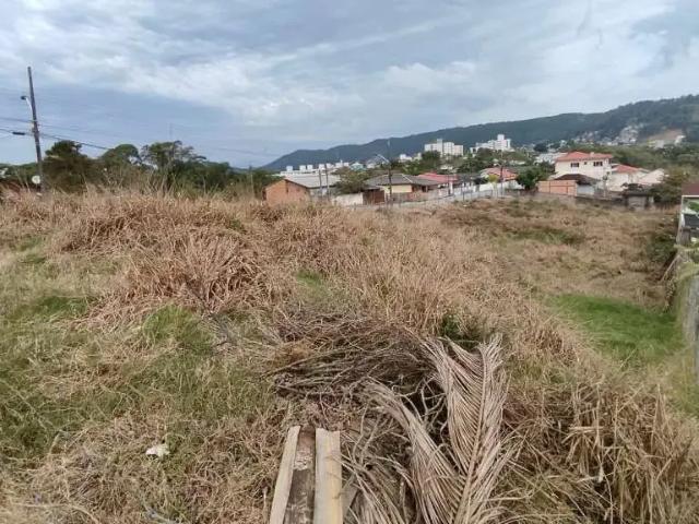Terreno / Lote para Venda em Biguaçu/SC Jardim Janaina