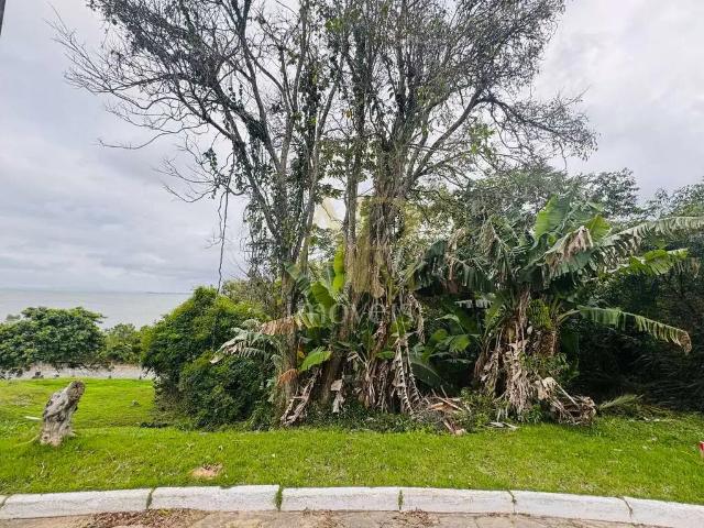 Terreno / Lote para Venda em Biguaçu/SC São Miguel Guaporanga