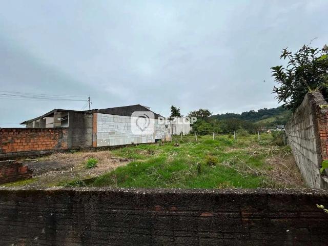 Terreno / Lote para Venda em Biguaçu/SC Rio Caveiras