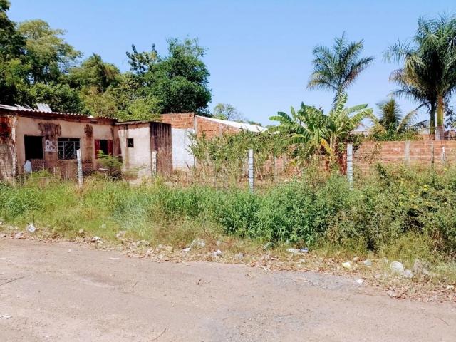 Terreno / Lote para Venda em Birigui/SP João Crevelaro