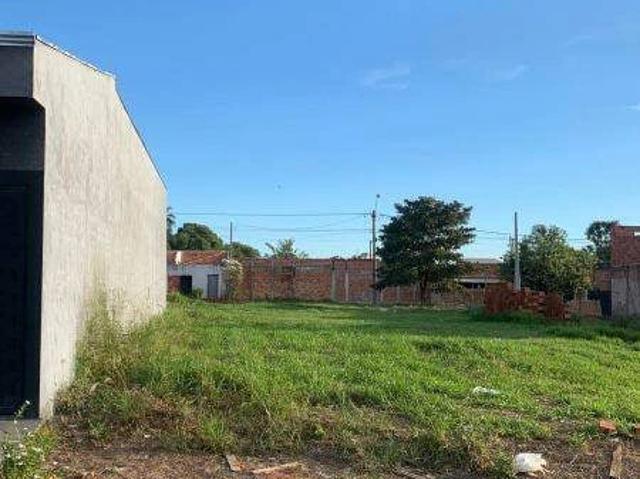 Terreno / Lote para Venda em Birigui/SP Residencial Acapulco