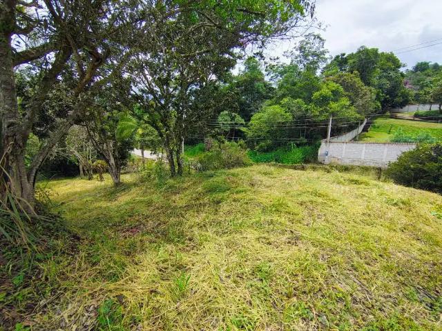 Terreno / Lote para Venda em Biritiba Mirim/SP Pomar Do Carmo