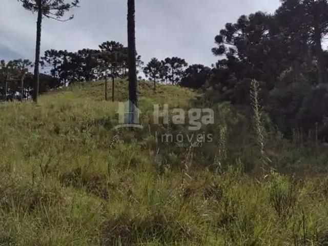 Terreno / Lote para Venda em Bom Jardim da Serra/SC Centro