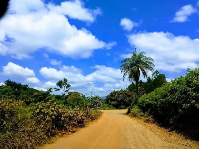 Terreno / Lote para Venda em Bom Jesus do Amparo/MG Recanto da Serra Getsêmani