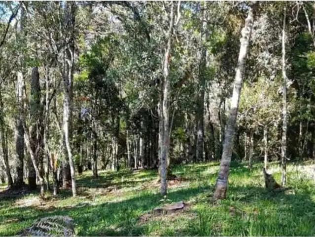Terreno / Lote para Venda em Bom Retiro/SC Centro