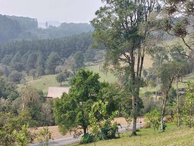 Sítio / Chácara para Venda em Bom Retiro/SC Centro 3 Quartos
